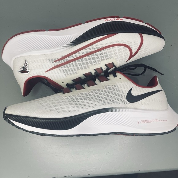 Nike Air Zoom Pegasus 37 "Atlanta Falcons" Men's Size 11 (CZ5447-100) - Picture 6 of 14
